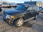 Ford Escape 2012