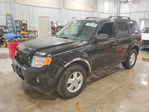 Ford Escape 2011