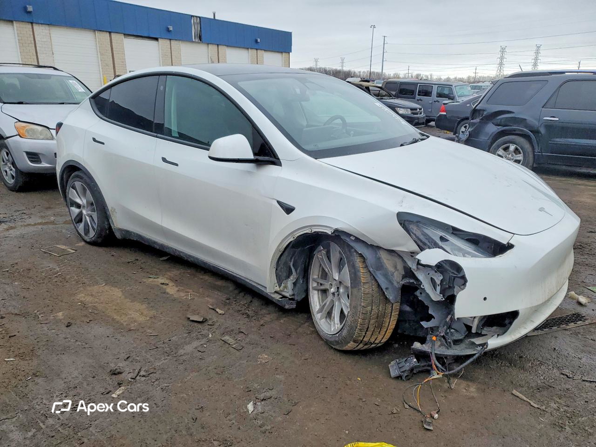 Tesla Model Y 2021