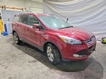 Ford Escape 2014