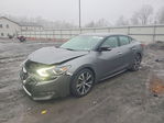 Nissan Maxima 2017