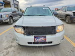 Ford Escape 2011