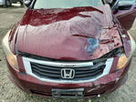 Honda Accord 2010