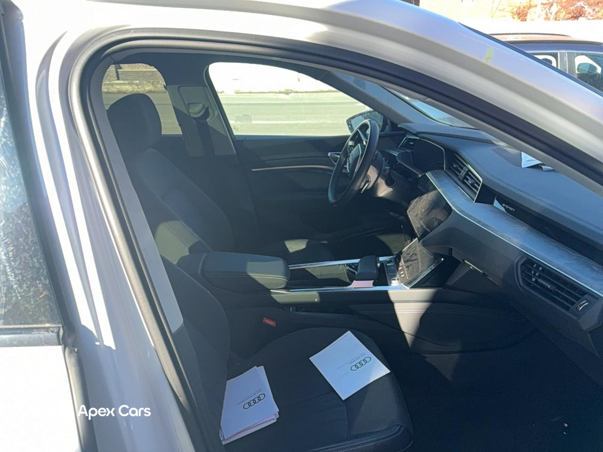 Audi e-tron 2021