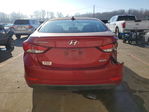 Hyundai Elantra 2016
