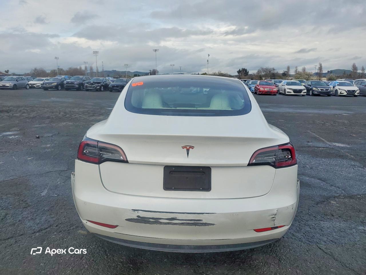 Tesla Model 3 2021
