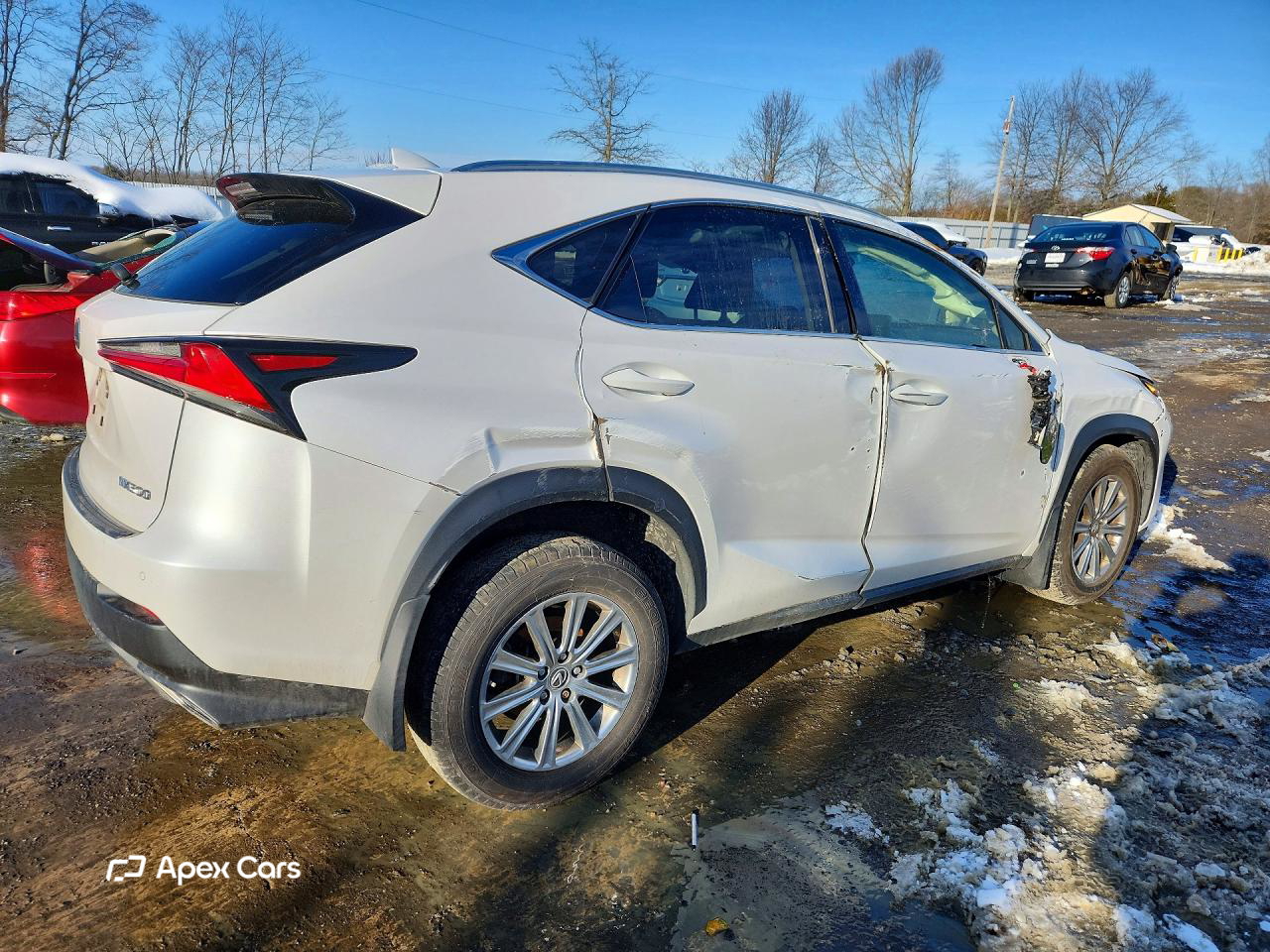 Lexus NX 2020