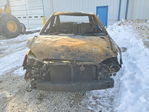 Toyota Corolla 2008