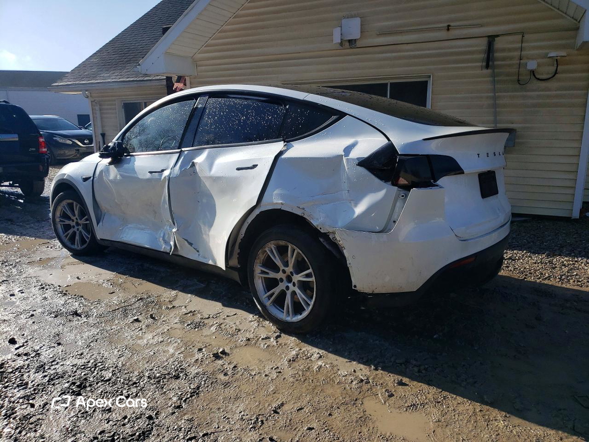 Tesla Model Y 2020