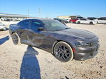 Dodge Charger 2019