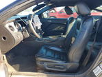Ford Mustang 2011