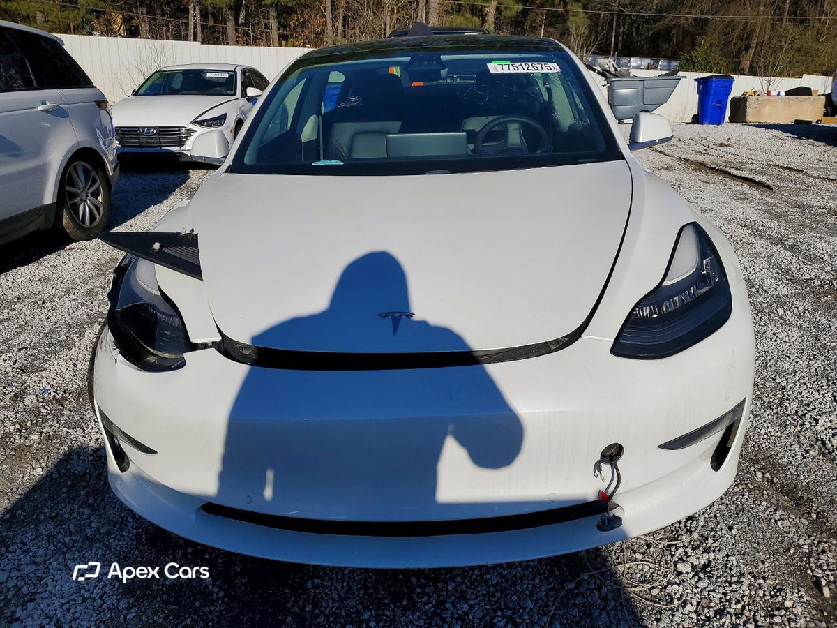 Tesla Model 3 2019