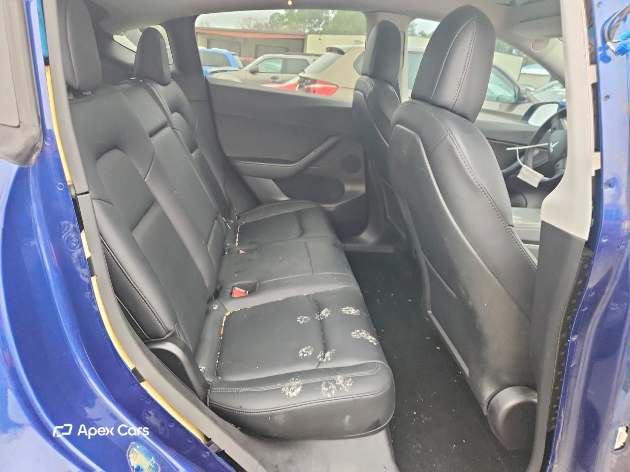 Tesla Model Y 2021