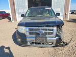 Ford Escape 2009