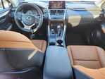 Lexus NX 2020