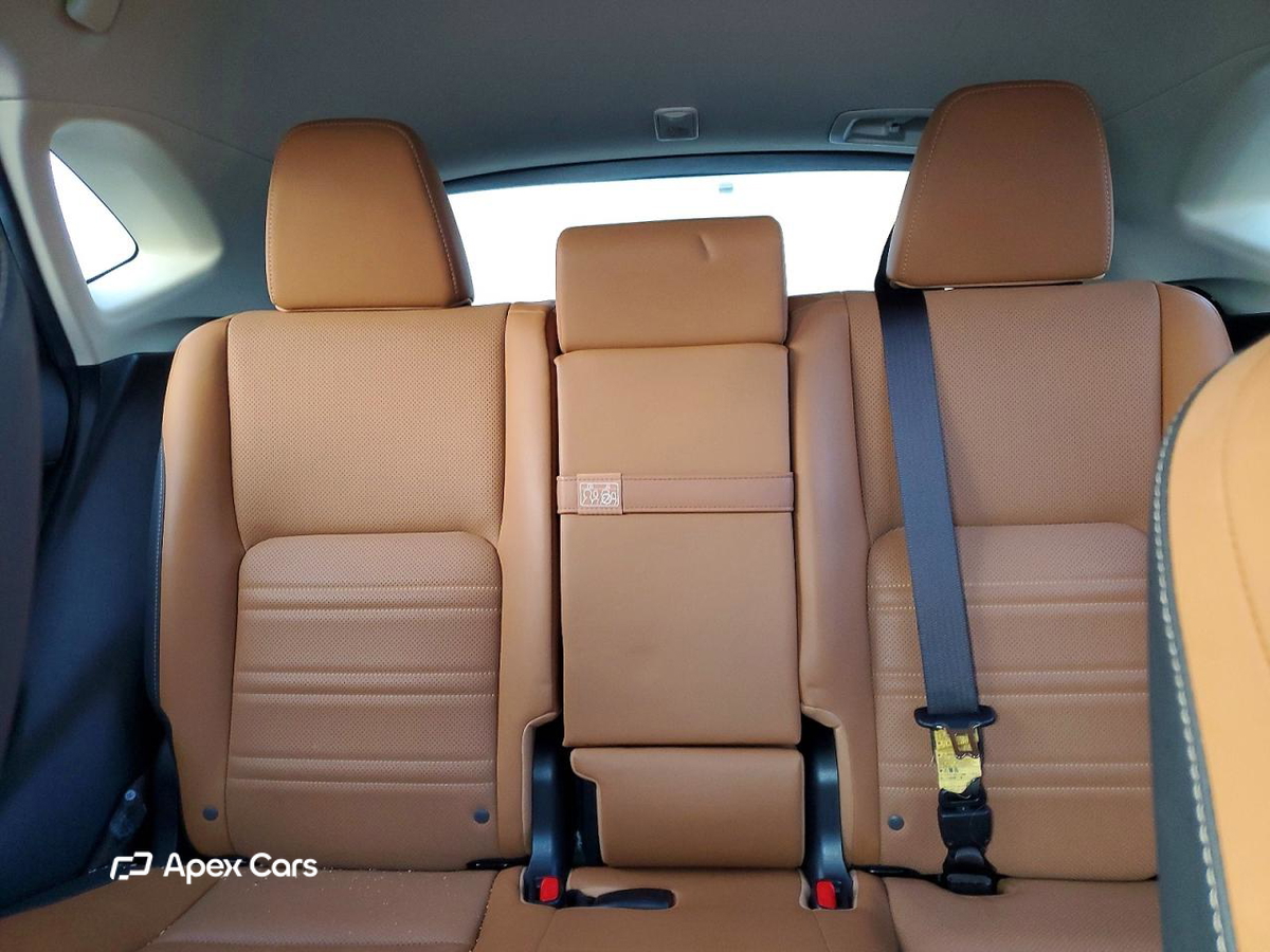 Lexus NX 2019
