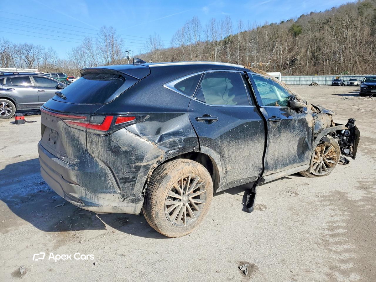 Lexus NX 2025