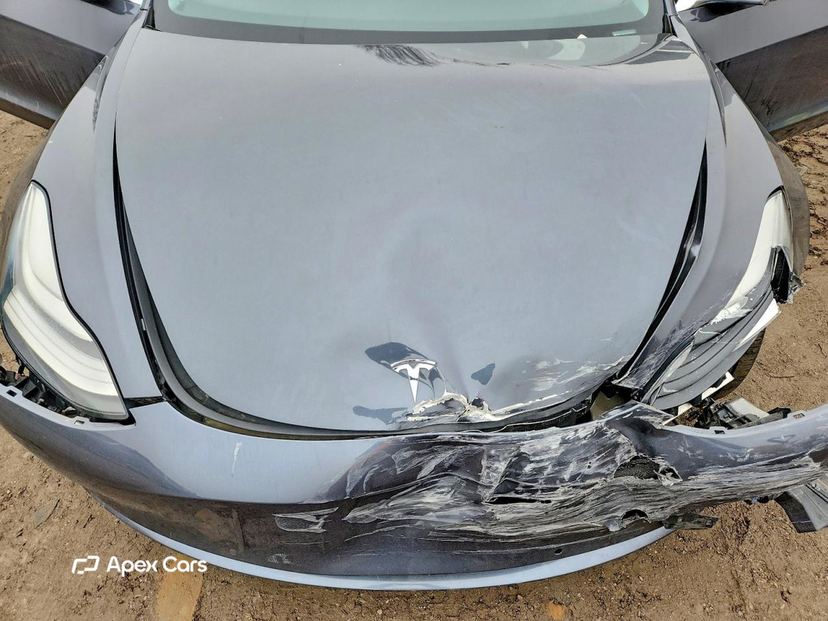 Tesla Model 3 2019