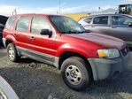 Ford Escape 2006