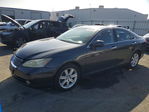 Lexus ES 2007