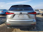 Lexus NX 2020