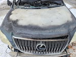 Lexus RX 2004