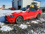 Ford Mustang 2021