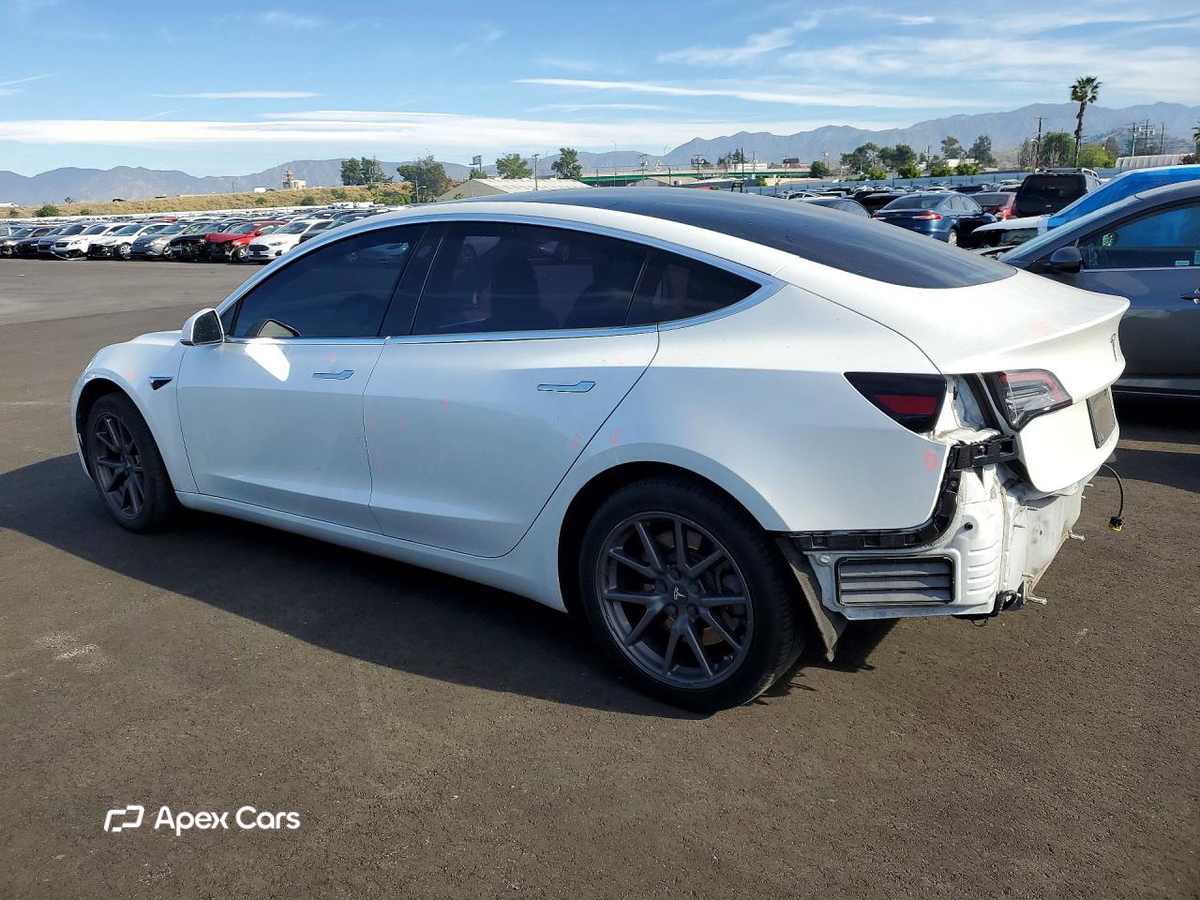 Tesla Model 3 2019