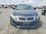 Accord 2010
