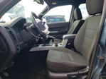 Ford Escape 2011