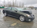 Lexus ES 2010