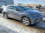 Lexus NX 2021