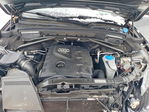 Audi Q5 2013