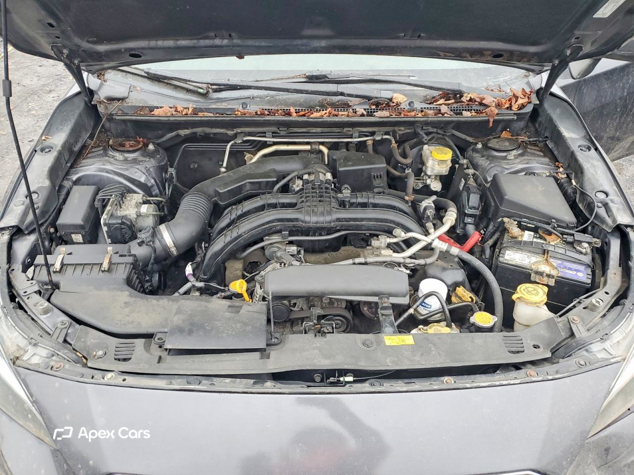 Subaru Impreza 2019