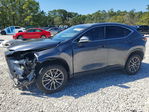 Lexus NX 2022