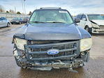 Ford Escape 2010