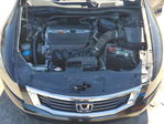Honda Accord 2008