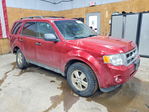 Ford Escape 2012