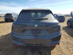 BMW iX 2024