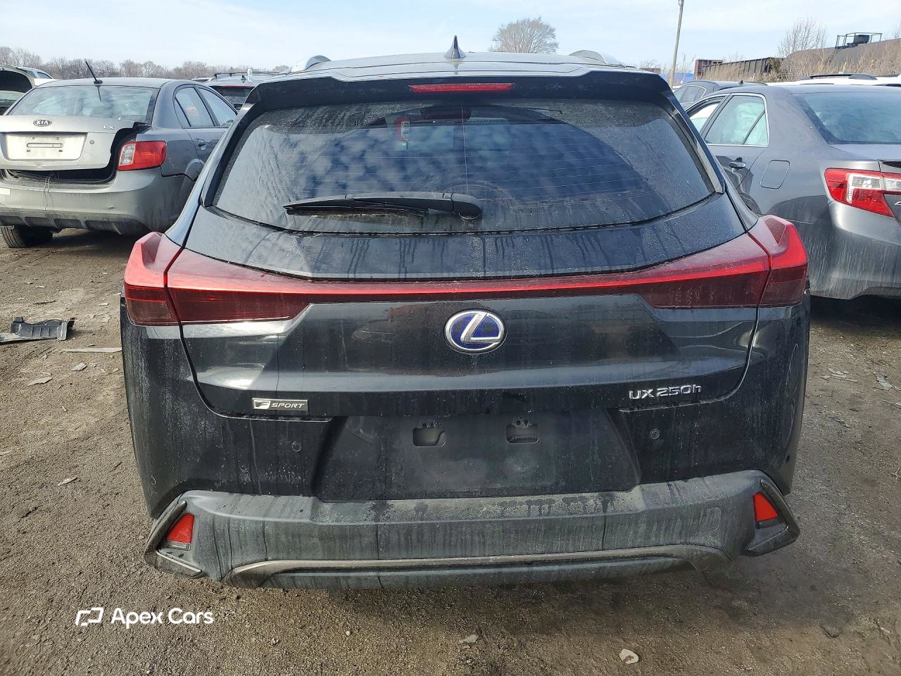 Lexus UX 2019