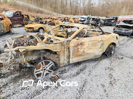 Ford Mustang 2022 - Image 1 of 12