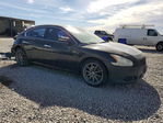 Nissan Maxima 2010