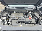 Toyota RAV 4 2024