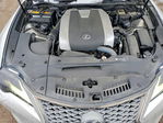 Lexus RX 2019
