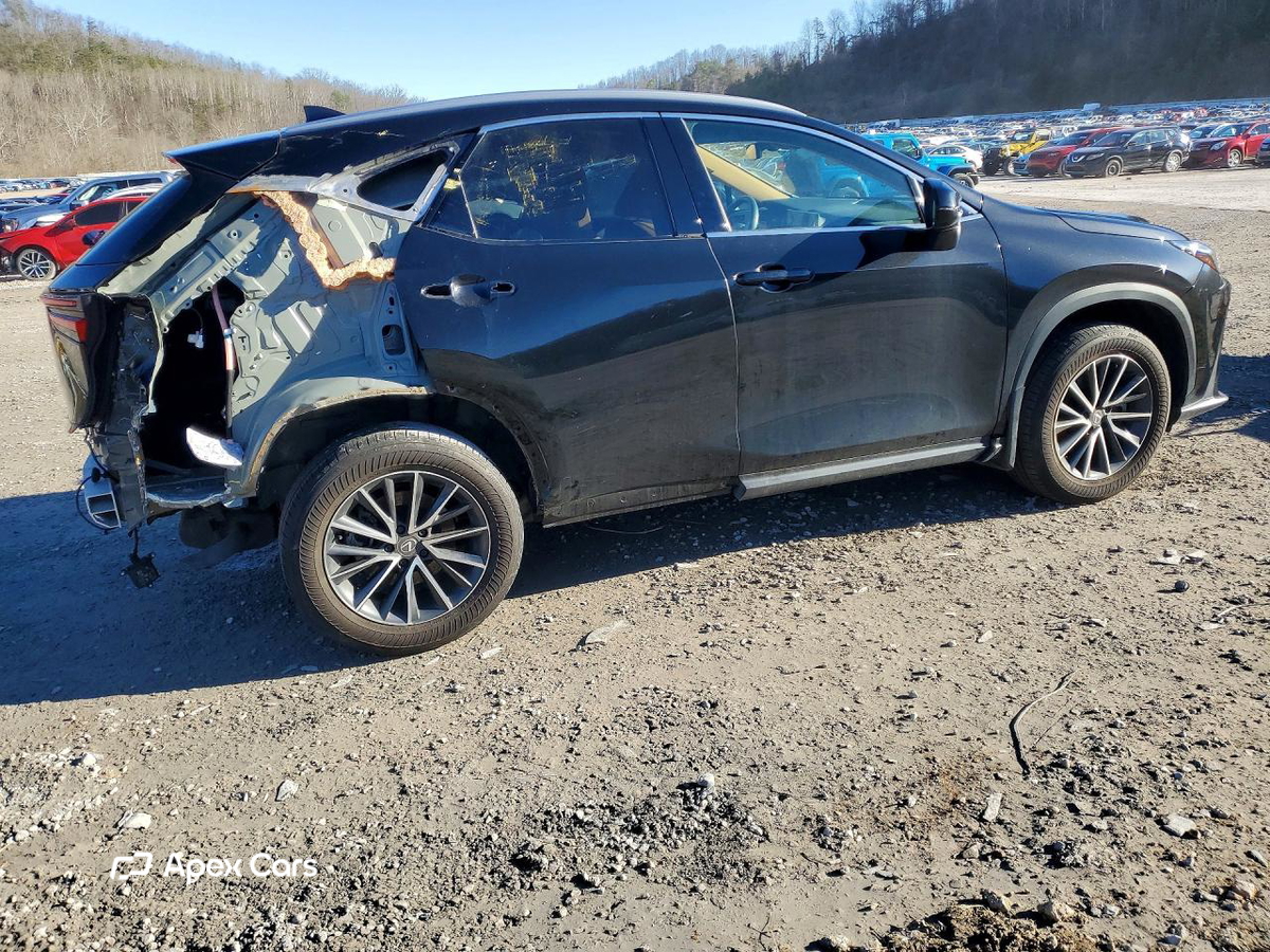Lexus NX 2024