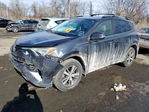Toyota RAV 4 2017