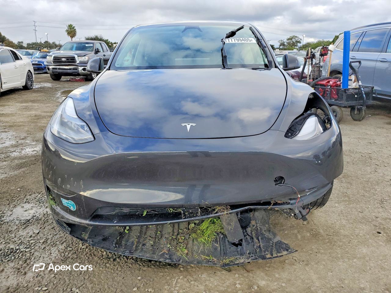 Tesla Model Y 2024