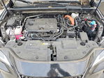 Lexus NX 2024