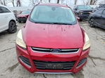 Ford Escape 2014