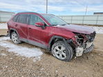 Toyota RAV 4 2020